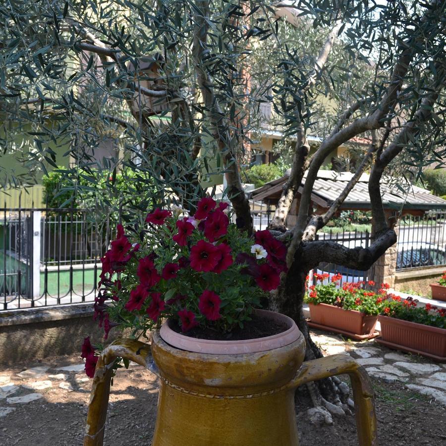 Bed and Breakfast Riflessi D'Arte Provaglio d'Iseo Exterior foto